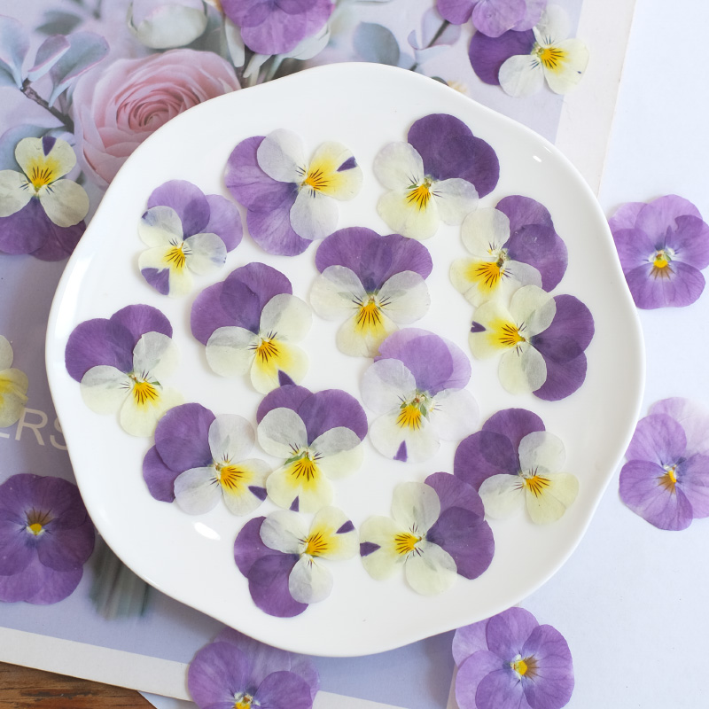 12 Stück, Natur Stiefmütterche – Photo Beauty Makeup Bewertung und Preis