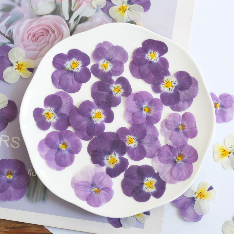 12 Stück, Natur Stiefmütterche – Photo Beauty Makeup Bewertung und Preis